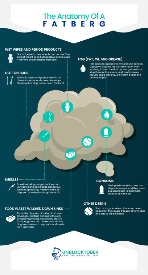 The Anatomy of a Fatberg